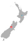 location of Buller